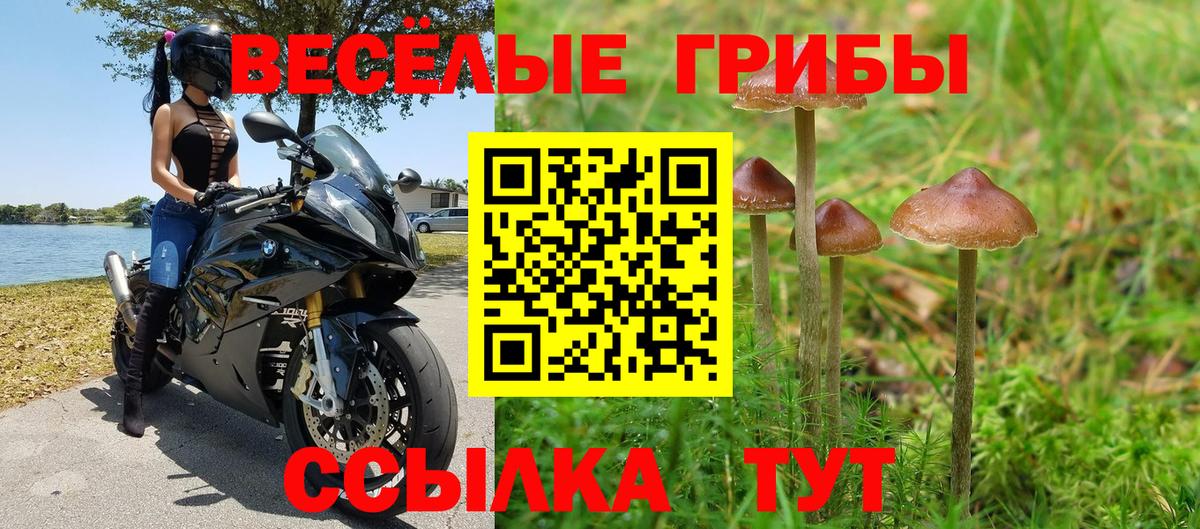 Галлюциногенные грибы GOLDEN TEACHER Трёхгорный