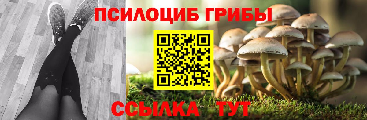 Галлюциногенные грибы мухоморы  Вход с VPN  даркнет сайт  Псилоцибиновые грибы мицелий  Трёхгорный 